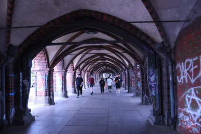 DSC_1824 (Large).JPG